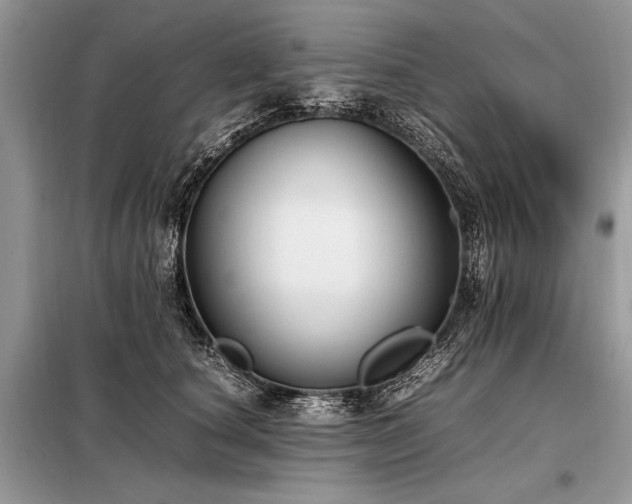 X0000098190660200804241246