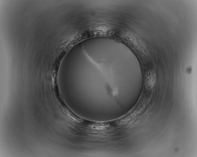 X0000098190661200804241246