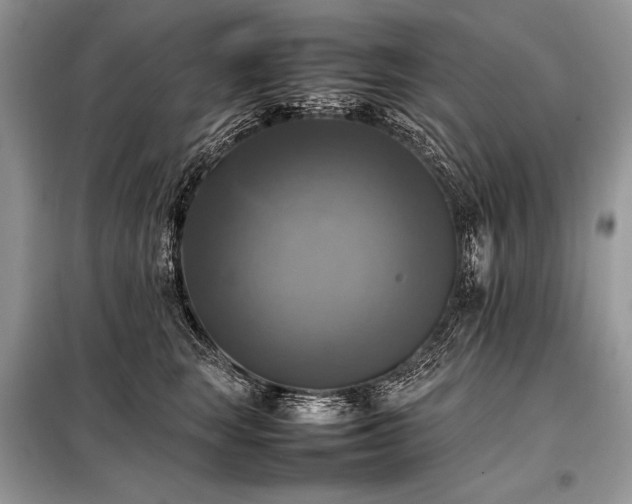 X0000098190663200804241246