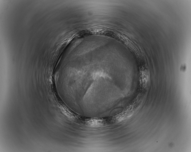 X0000098190664200804241246