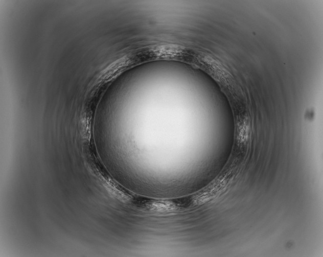 X0000098190666200804241246