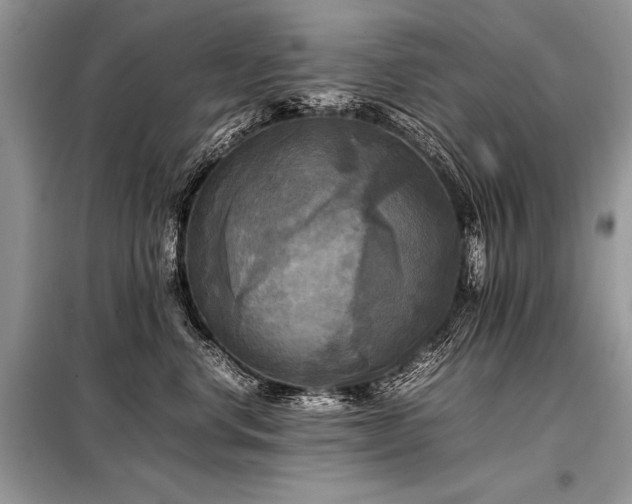 X0000098190668200804241246