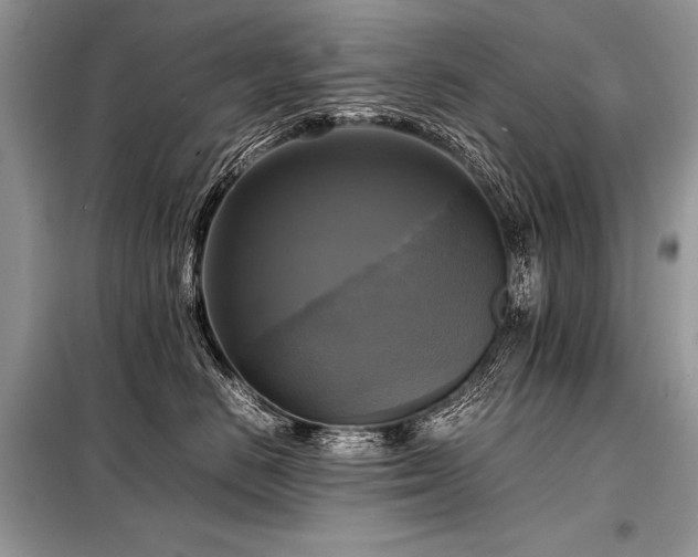 X0000098190670200804241246