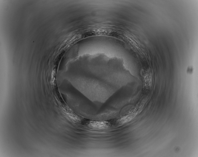 X0000098190671200804241246