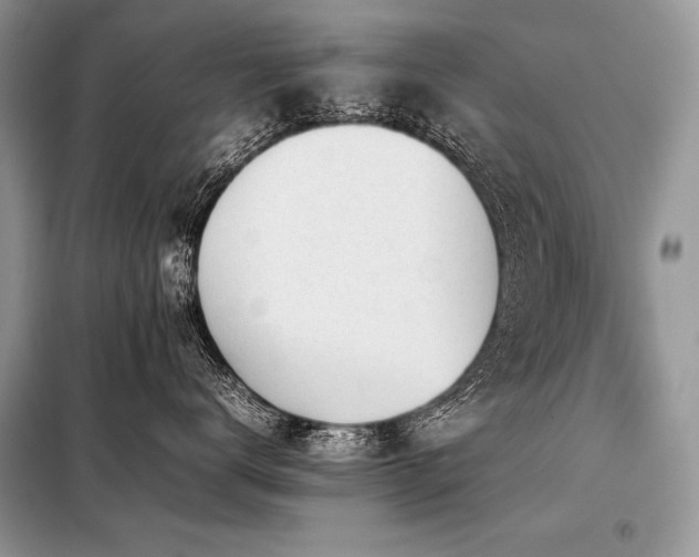 X0000098190672200804241246