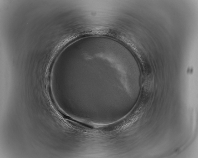 X0000098190673200804241245