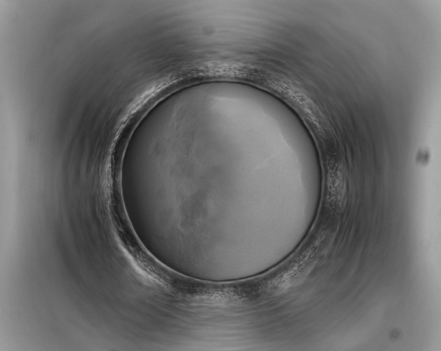 X0000098190674200804241245