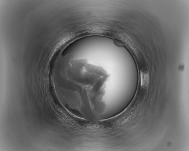 X0000098190675200804241245