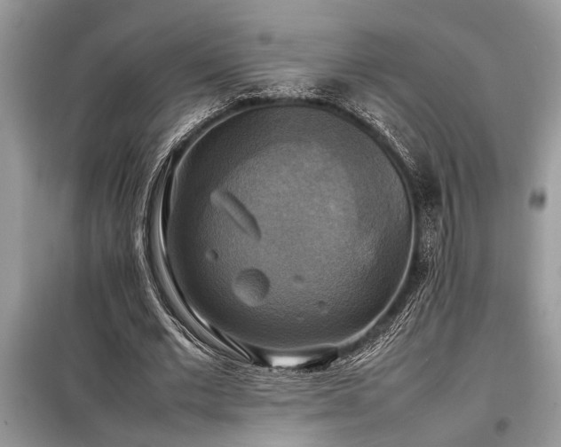 X0000098190677200804241245