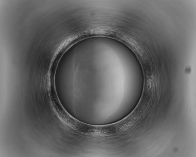 X0000098190678200804241245