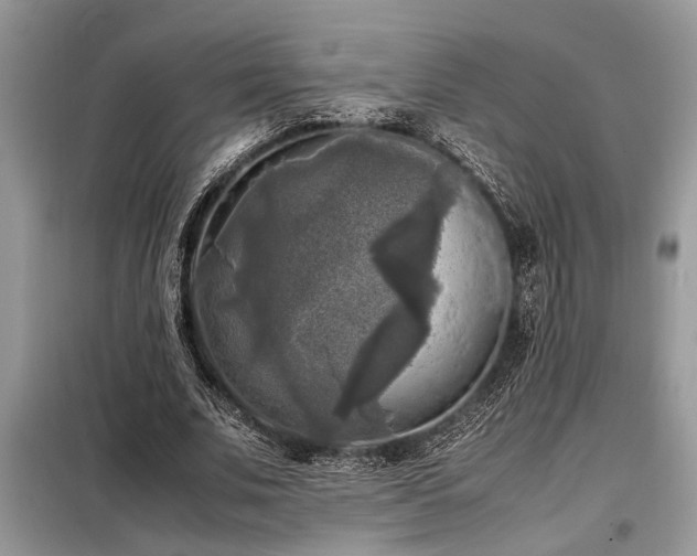 X0000098190679200804241245