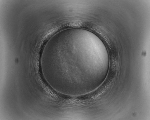 X0000098190681200804241245