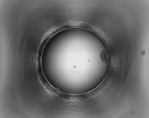 X0000098190682200804241245