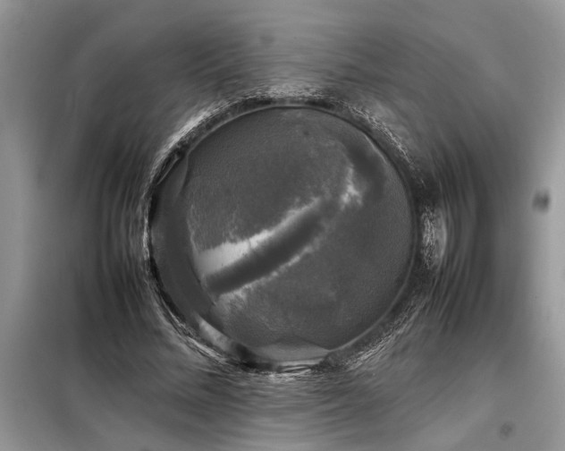X0000098190684200804241245