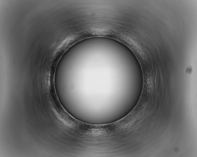 X0000098190686200804241245