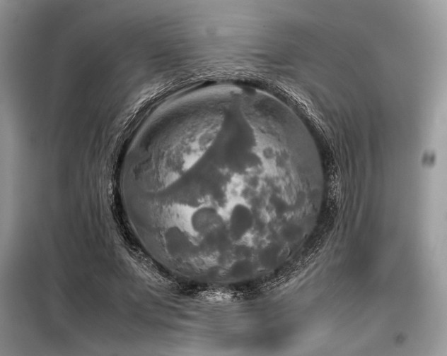 X0000098190687200804241245