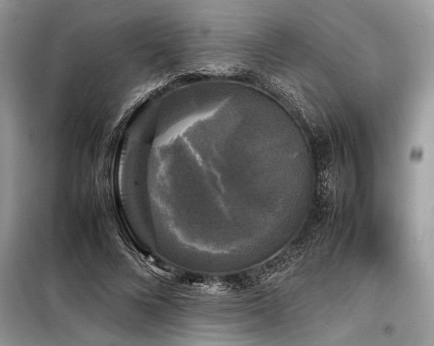 X0000098190688200804241245