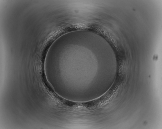 X0000098190689200804241245