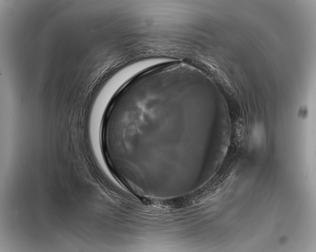 X0000098190691200804241245