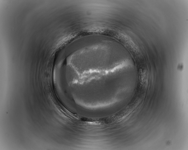 X0000098190692200804241245