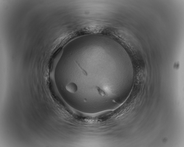 X0000098190693200804241245