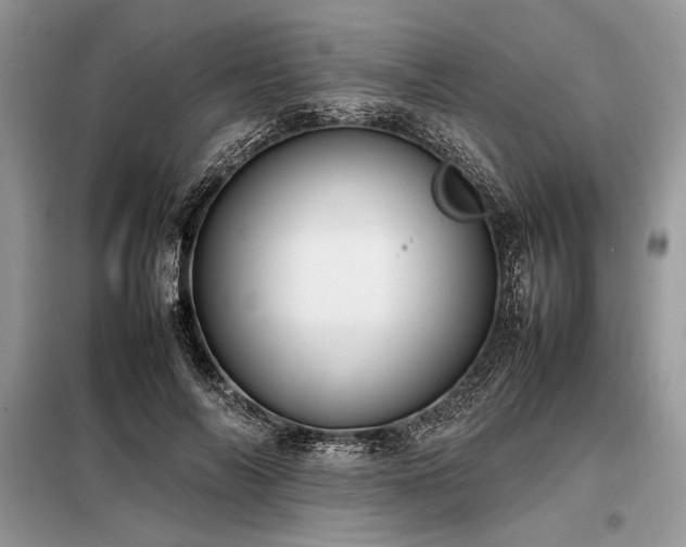X0000098190694200804241245