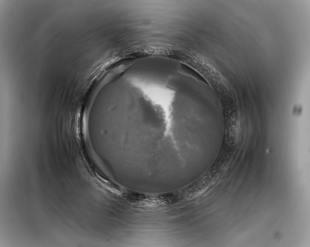 X0000098190696200804241245