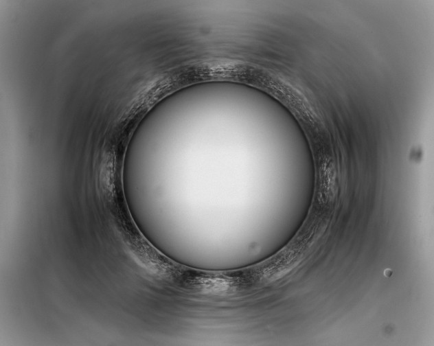 X0000098190698200804241245