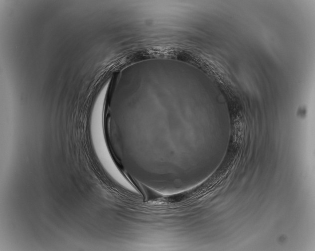 X0000098190699200804241245