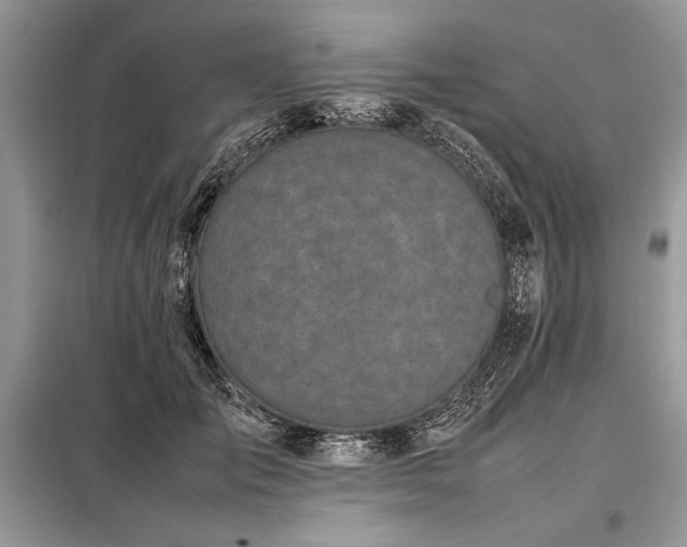 X0000098190701200804241245