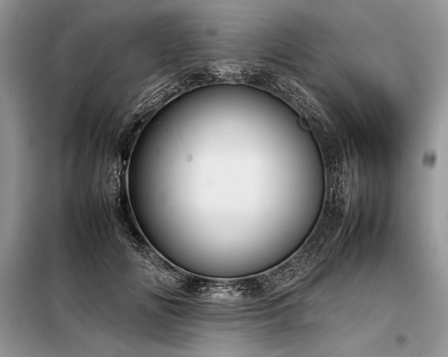 X0000098190702200804241245