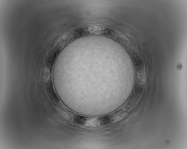 X0000098190705200804241245