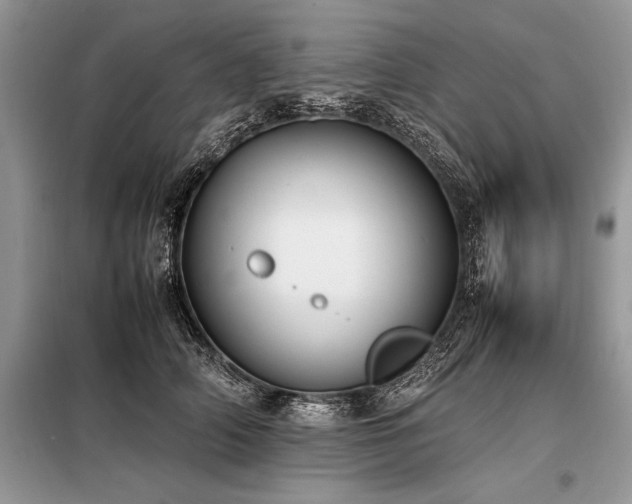 X0000098190706200804241245
