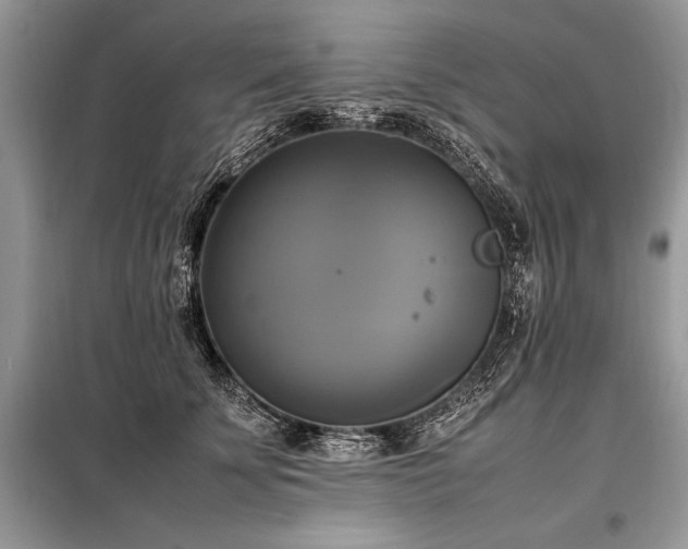 X0000098190707200804241245