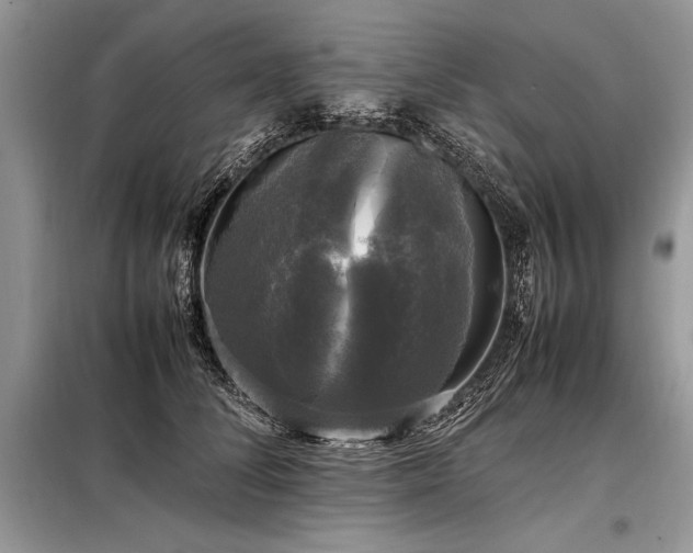 X0000098190708200804241245