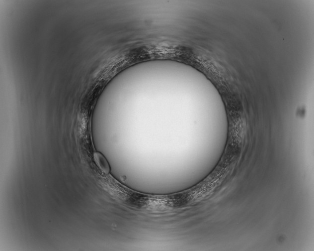 X0000098190709200804241245