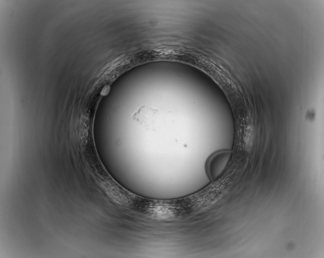 X0000098190710200804241245