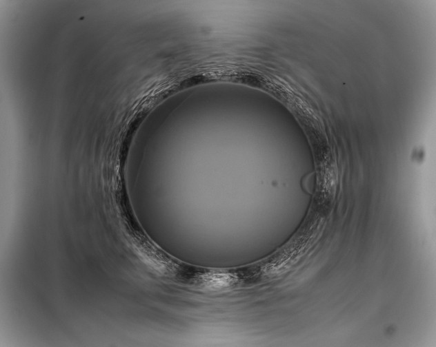 X0000098190711200804241245