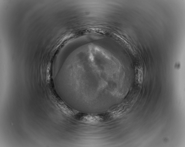 X0000098190712200804241245