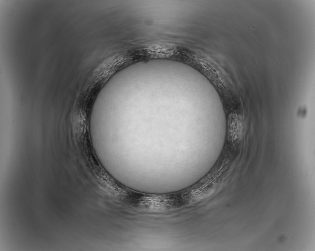 X0000098190713200804241245
