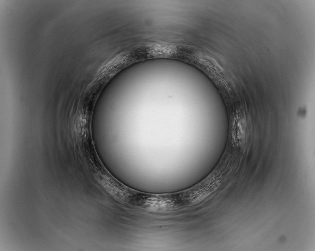 X0000098190714200804241245