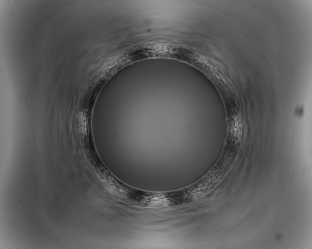 X0000098190715200804241245