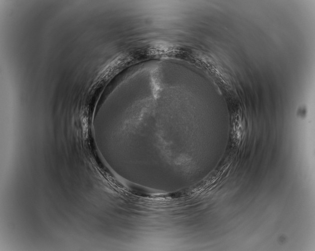 X0000098190716200804241245