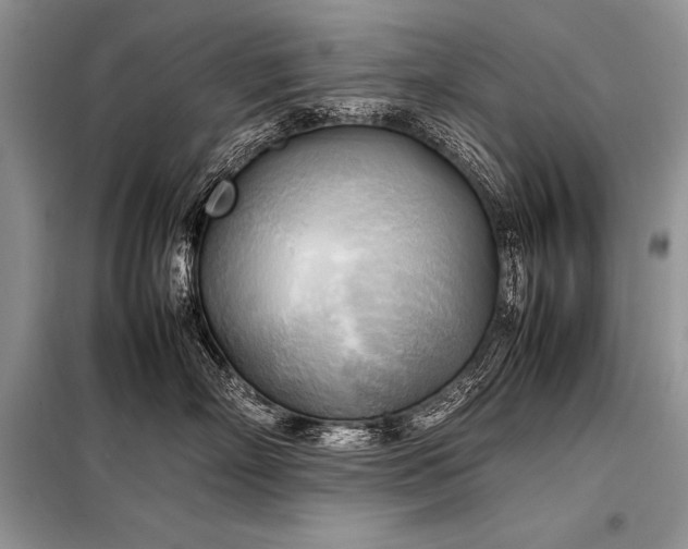 X0000098190718200804241245