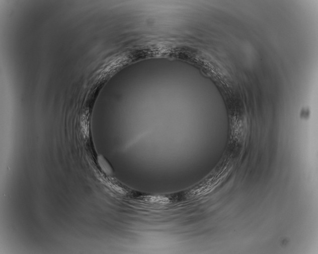 X0000098190719200804241245