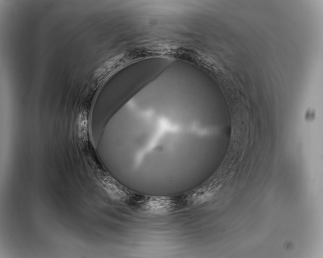 X0000098190720200804241245