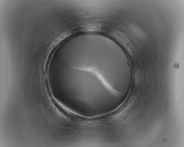 X0000098190721200804241244
