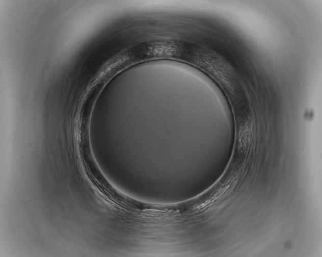 X0000098190722200804241244