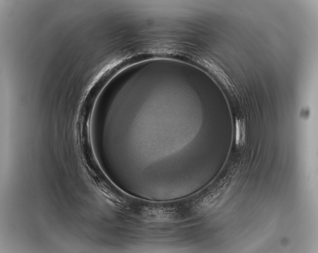 X0000098190723200804241244