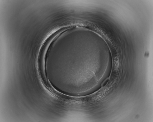 X0000098190726200804241244